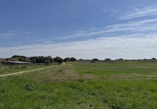 Parcelle à vendre à Badajoz - SÒL_194