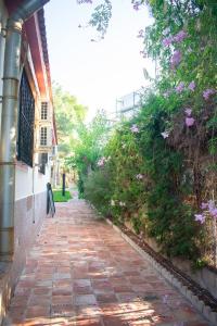 Villa for sale in Molina de Segura - DMU-SM-1009