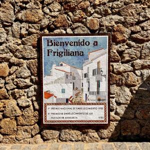 House for sale in Frigiliana - DV-128