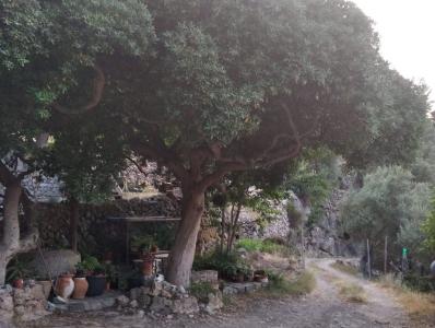 House for sale in Deyá - 32035