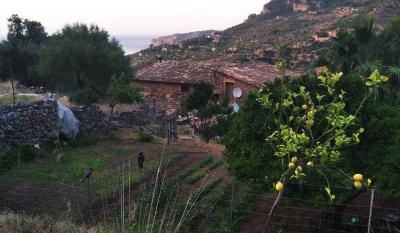 House for sale in Deyá - 32035