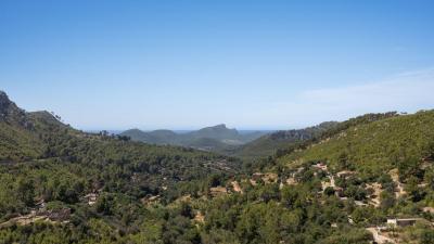 Andratx Pueblo منزل للبيع - 32823