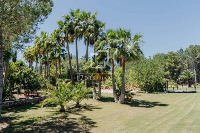 Дом на продажу в Puig Den Valls - IBZ41192 Дом на продажу в Puig Den Valls - IBZ41192