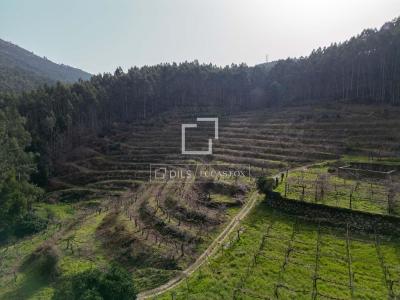Castro de Rei منزل للبيع - VIG24760 Castro de Rei منزل للبيع - VIG24760