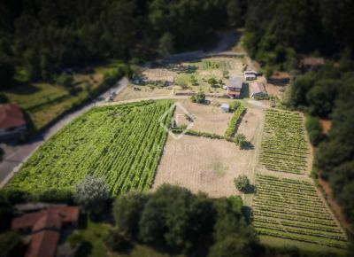Masseria in vendita a Tomiño - VIG60648