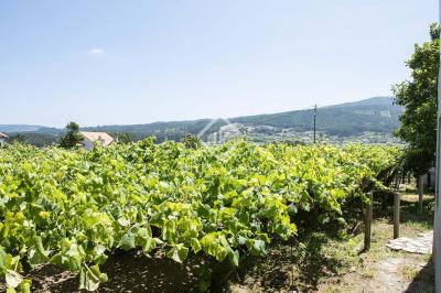 Parcella in vendita a Meis - VIG30502
