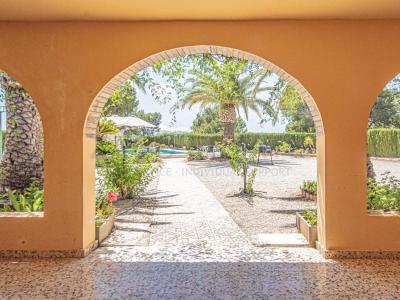 House to rent in El Tossal-Bello Horizonte - B808 House to rent in El Tossal-Bello Horizonte - B808