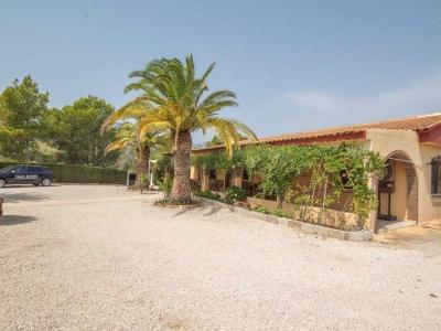 House to rent in El Tossal-Bello Horizonte - B808 House to rent in El Tossal-Bello Horizonte - B808