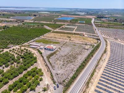 Country property for sale in Los Montesinos - DMREF1
