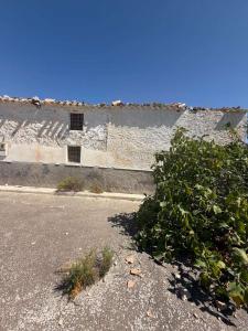 House for sale in Vélez-Blanco - 101426