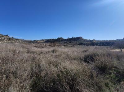 Building-site for sale in Caspe - R202303 Building-site for sale in Caspe - R202303
