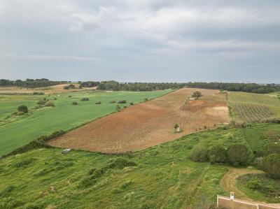 Country property for sale in Niebla - 1038