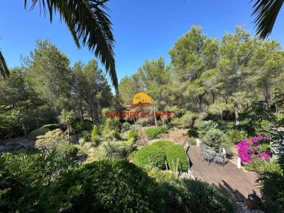 Chalet zum verkauf in Sant Jordi d'Alfama, L'Ametlla de Mar - PI6018 Chalet zum verkauf in Sant Jordi d'Alfama, L'Ametlla de Mar - PI6018
