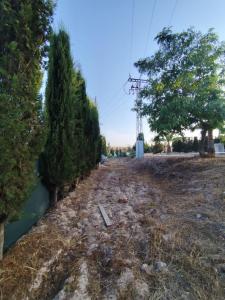 House for sale in Campotéjar-Los Valientes - los valientes