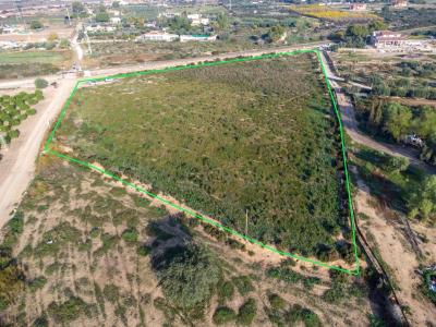 Perceel te koop in Crevillent - PJ-18506 Perceel te koop in Crevillent - PJ-18506