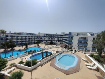 Studio zum verkauf in Golf del Sur-Amarilla Golf, San Miguel de Abona - 6504I Studio zum verkauf in Golf del Sur-Amarilla Golf, San Miguel de Abona - 6504I