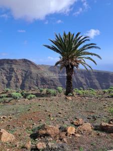 سان سيباستيان دي لا غوميرا شمسي للبيع - 6515 سان سيباستيان دي لا غوميرا شمسي للبيع - 6515