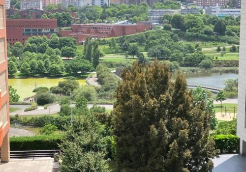 Flat to rent in Santander - 01083