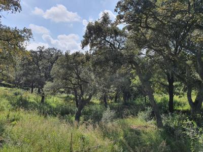 Участок на продажу в Puerto de Sotogrande - La Marina, Sotogrande - EC-RR2240 Участок на продажу в Puerto de Sotogrande - La Marina, Sotogrande - EC-RR2240