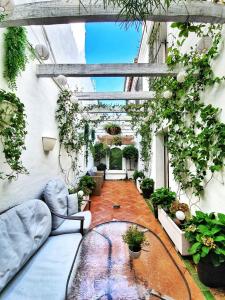 Holiday rental apartment in Casco Antiguo - EC-RE2012S Holiday rental apartment in Casco Antiguo - EC-RE2012S