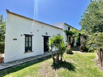 出售农场Marchenilla, Jimena de la Frontera - NorbaicaFincaJimena