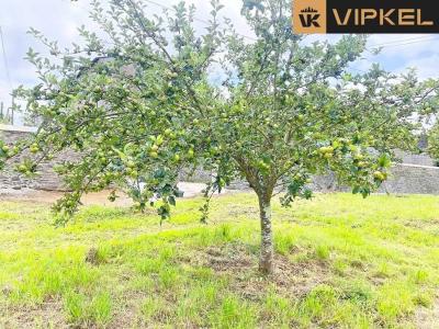 Bouwgrond te koop in Paderne - PC-122 Bouwgrond te koop in Paderne - PC-122