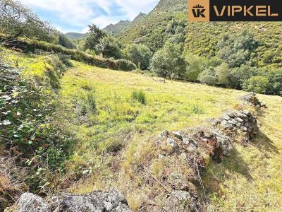 Parzelle zum verkauf in Campo Lameiro - VK-PV-0116 Parzelle zum verkauf in Campo Lameiro - VK-PV-0116