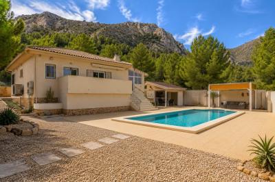 Villa for sale in Cañada de la Leña - SOLYANZA@PB615