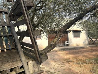 出售住房弗雷希纳尔斯 - Finca Montsia