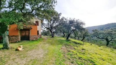Hus till salu i Aracena - Granja Hus till salu i Aracena - Granja