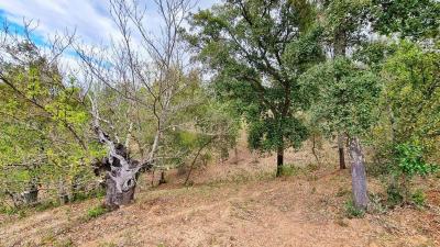 Building-site for sale in Galaroza - Agrión