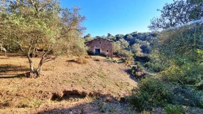 House for sale in La Nava - Perro
