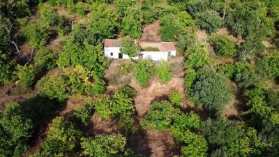 Hus till salu i Castaño del Robledo - Solana Hus till salu i Castaño del Robledo - Solana