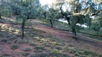 Участок под застройку на продажу в Арасена - Sierra Участок под застройку на продажу в Арасена - Sierra