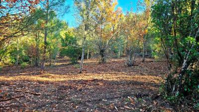 Building-site for sale in Galaroza - Veri