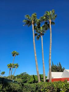 Haus zum miete in Maspalomas-Meloneras, San Bartolomé de Tirajana - 13693297 Haus zum miete in Maspalomas-Meloneras, San Bartolomé de Tirajana - 13693297