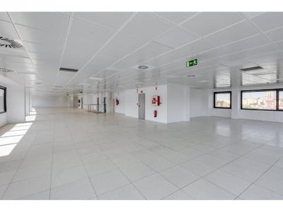Офис в аренду в Estrella - 3681930455 Офис в аренду в Estrella - 3681930455