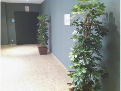 Офис в аренду в Valverde - B029886 Офис в аренду в Valverde - B029886