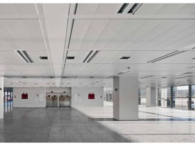 Офис в аренду в Valverde - B027413 Офис в аренду в Valverde - B027413