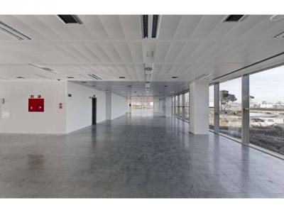 Офис в аренду в Valverde - B029913 Офис в аренду в Valverde - B029913