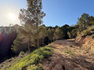 Building-site for sale in Altea - ALC-01260-0-Residential
