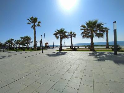 Local à vendre à Torrevieja - ALC-0872-0-Shop Local à vendre à Torrevieja - ALC-0872-0-Shop