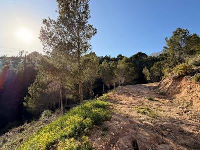 Building-site for sale in Altea - ALC-1260-0-Residential