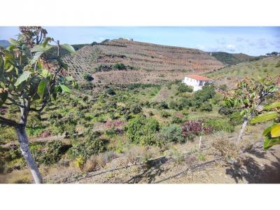 Участок под застройку на продажу в Norte - Barrio del Pilar - El Reñidero - 000022 Участок под застройку на продажу в Norte - Barrio del Pilar - El Reñidero - 000022