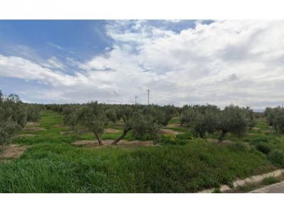 Building-site for sale in Jaén - 000024