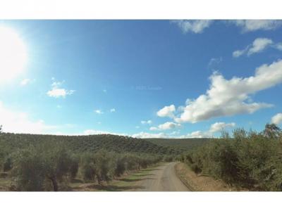 Building-site for sale in Jaén - 000024