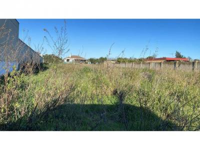 Plot for sale in La Jara, Sanlúcar de Barrameda - 10029 Plot for sale in La Jara, Sanlúcar de Barrameda - 10029