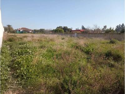 Plot for sale in La Jara, Sanlúcar de Barrameda - 10029 Plot for sale in La Jara, Sanlúcar de Barrameda - 10029