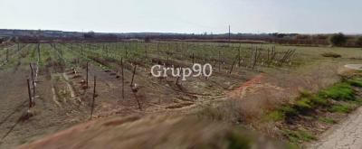 Участок на продажу в Альбатаррек - 25-5-07364 Участок на продажу в Альбатаррек - 25-5-07364