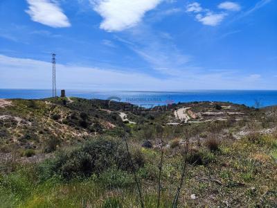 Участок в аренду в Camino Algarrobo - Las Arenas - LT600 Участок в аренду в Camino Algarrobo - Las Arenas - LT600